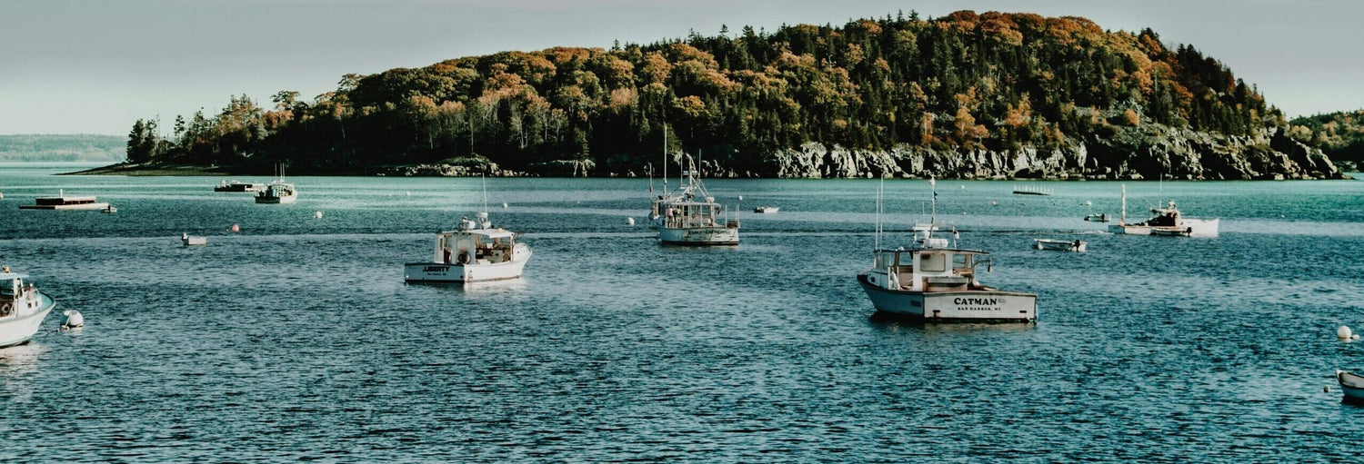 5 Cosas que tienes que considerar antes de navegar 5 días en barco