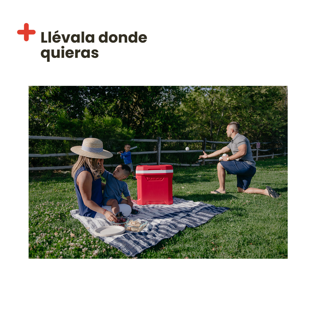 Nevera portátil Igloo Profile Roller 60