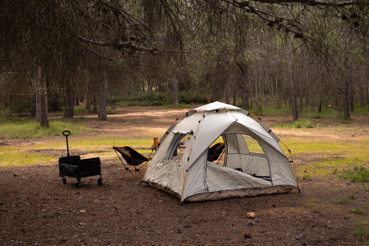Camping y tiendas