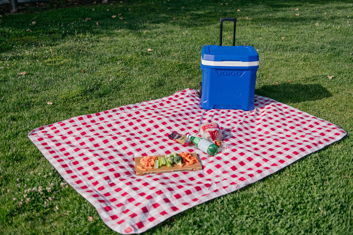 nevera portatil igloo con ruedas 58 litros picnic