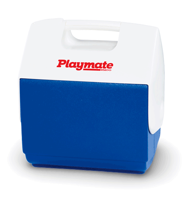 nevera portatil 6 litros