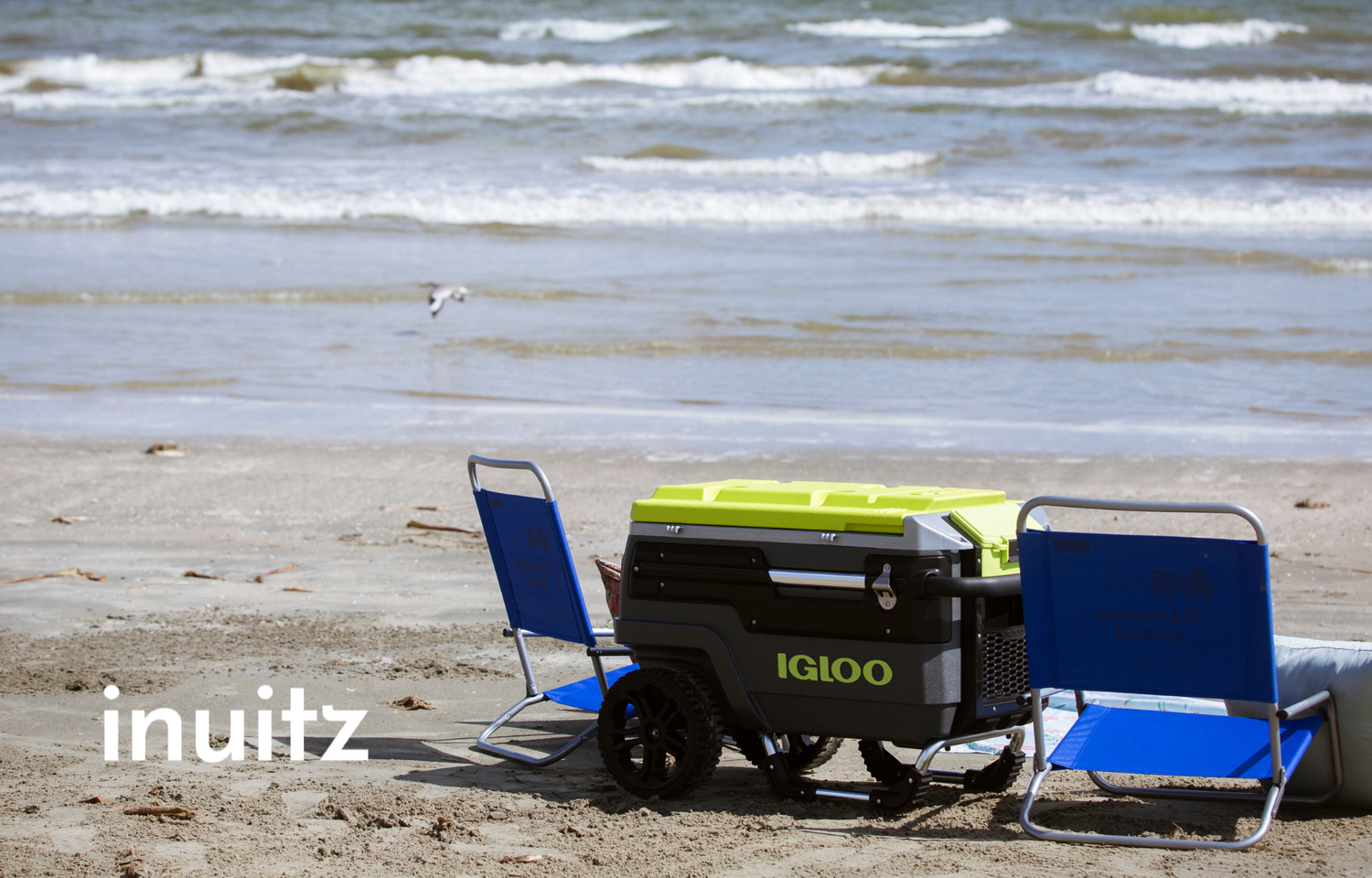 LA MEJOR NEVERA PORTÁTIL PARA IR A LA PLAYA