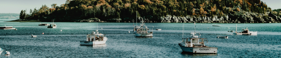 Consejos para disfrutar de un día de barco