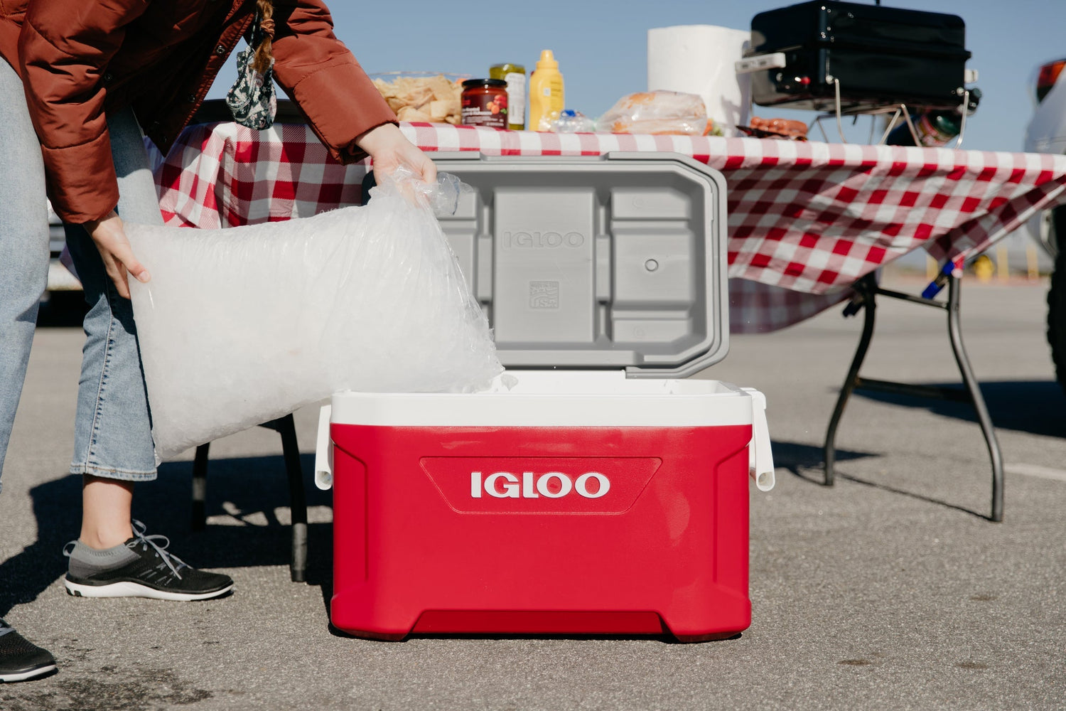 Guía completa sobre materiales de una nevera portátil: Todo lo que necesitas saber