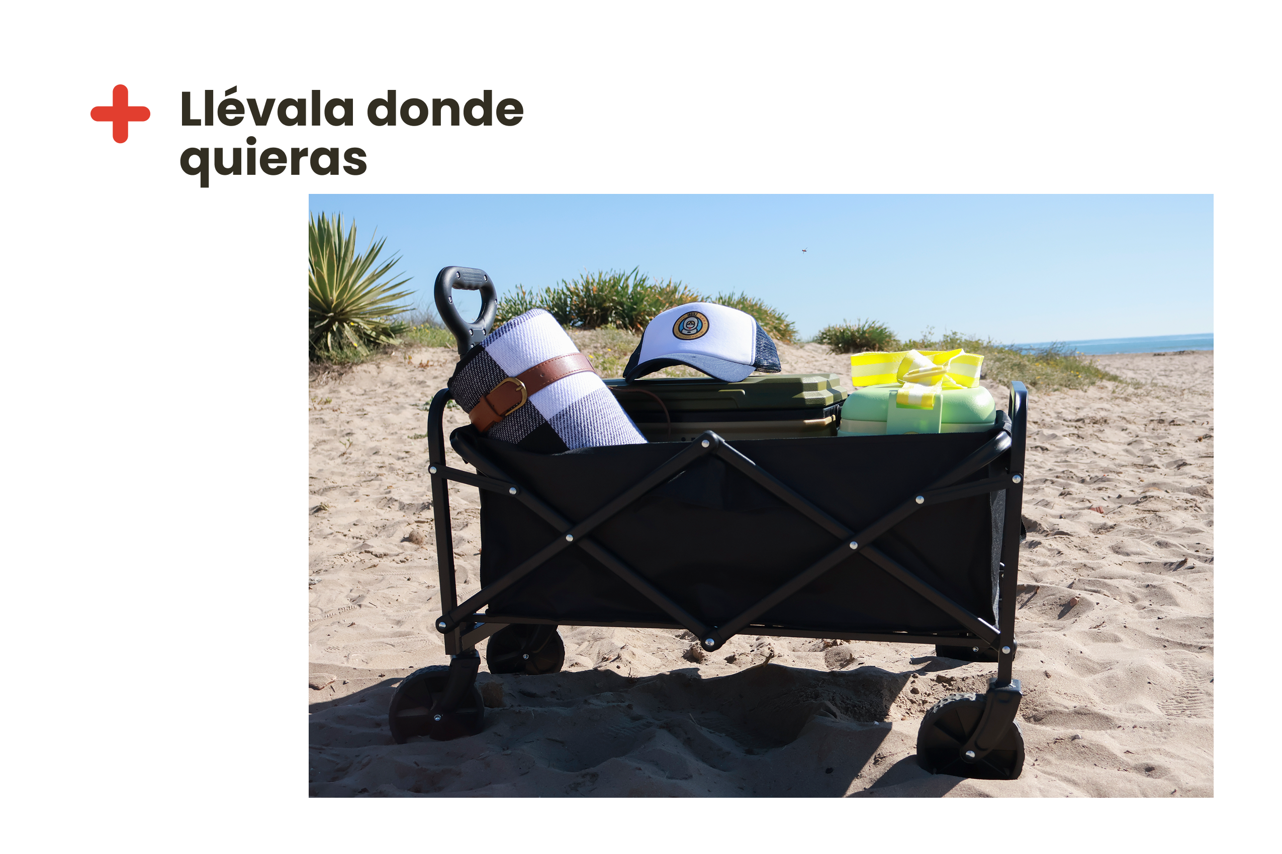 Carrito plegable de transporte 60L
