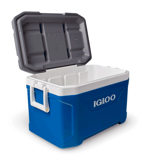 nevera portatil igloo 49 litros azul abierta